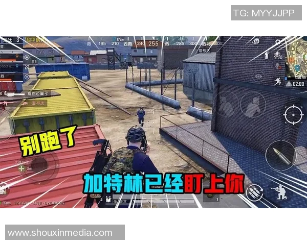 热议和平精英IG战队的节奏变革与未来发展趋势分析