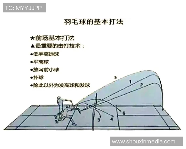 北京羽毛球队进攻体系解析与战术运用探讨
