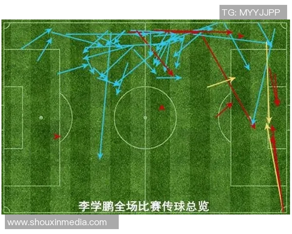南京排球队盯防战术解析与比赛表现的深度剖析