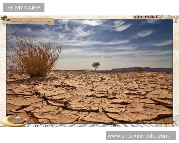 最新数据显示全球气候变化加剧 极端天气频发影响经济发展与民生福祉